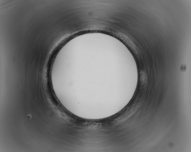 X0000101440676200808041215