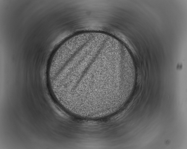 X0000101440677200808041215