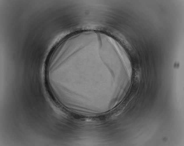 X0000101440678200808041215