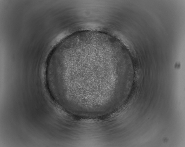 X0000101440679200808041215