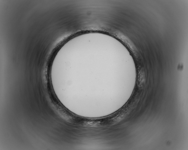 X0000101440680200808041215