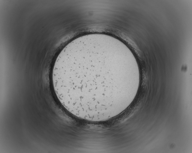 X0000101440681200808041215