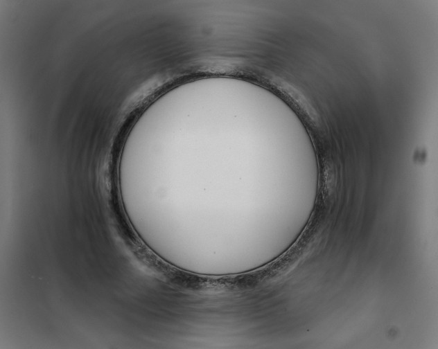 X0000101440682200808041215