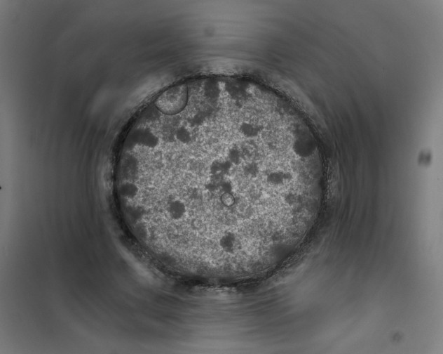 X0000101440683200808041215