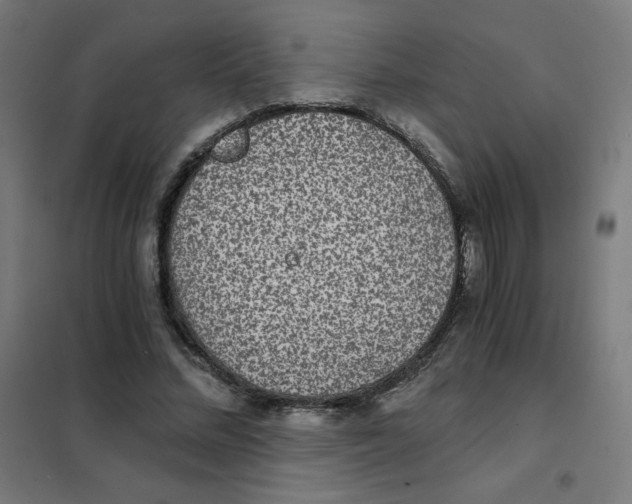 X0000101440684200808041215