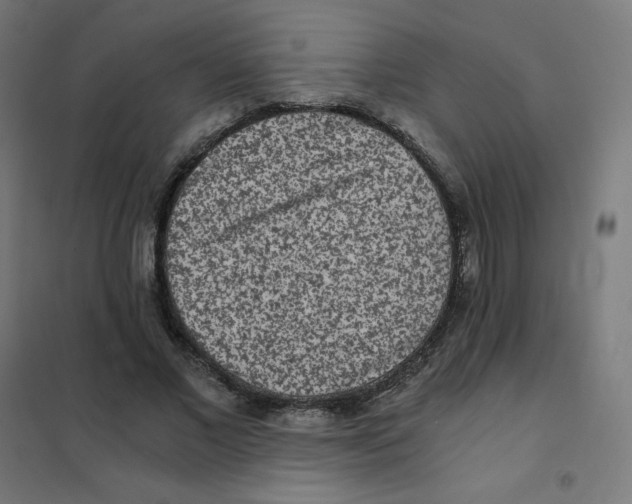 X0000101440685200808041215