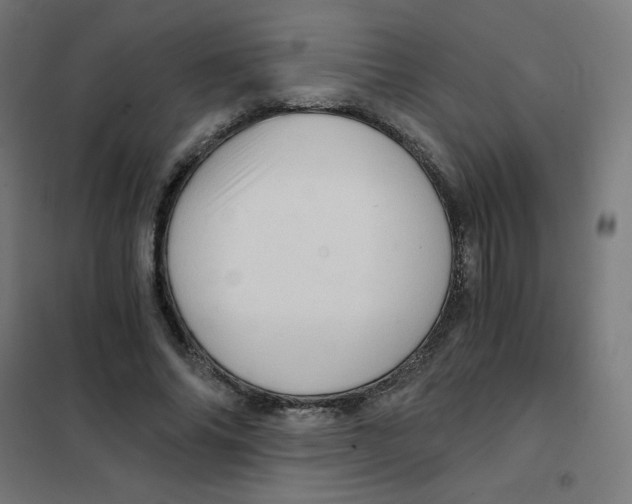 X0000101440686200808041215
