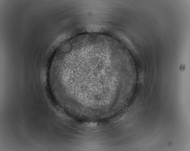X0000101440687200808041215