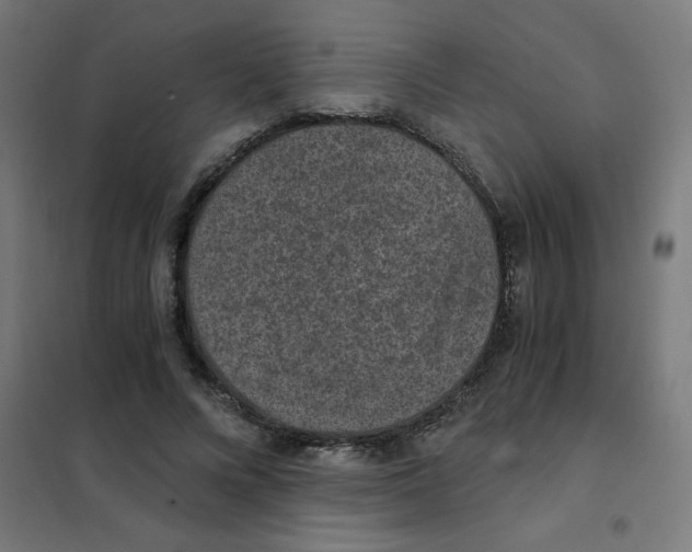X0000101440688200808041215