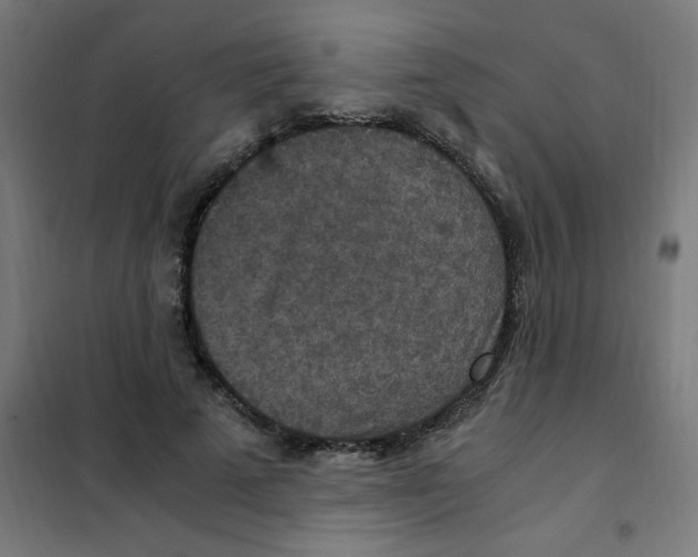 X0000101440689200808041215