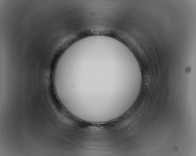 X0000101440690200808041215