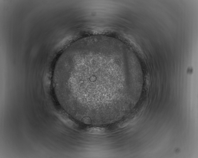 X0000101440691200808041215