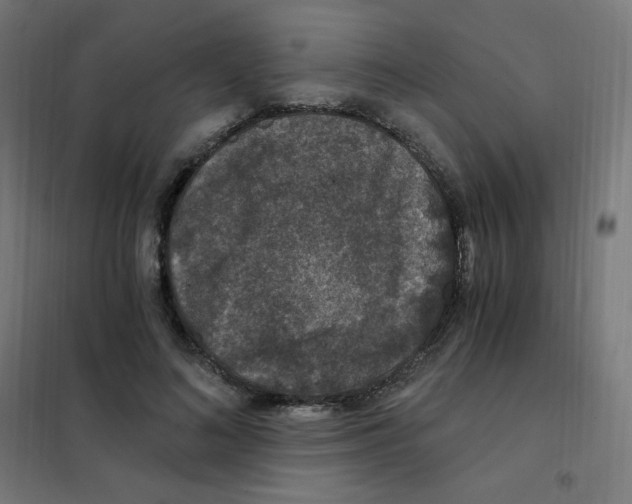 X0000101440692200808041215