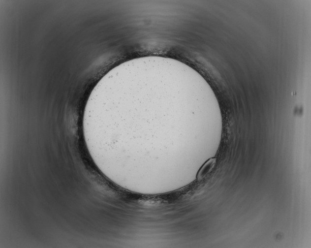 X0000101440693200808041215