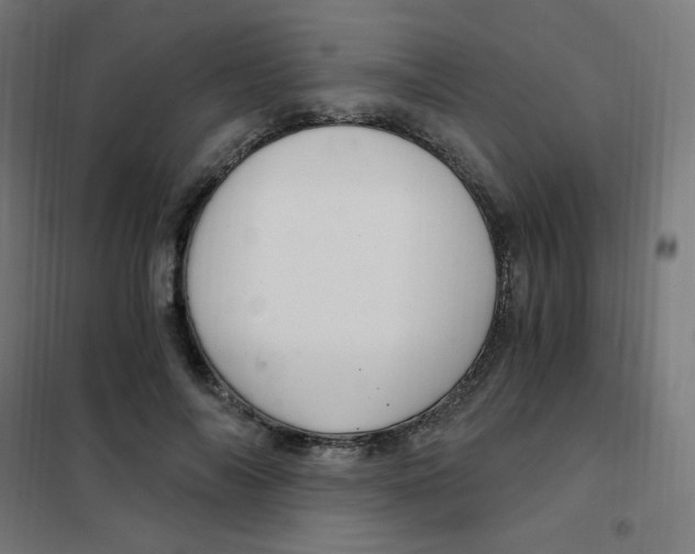 X0000101440694200808041215