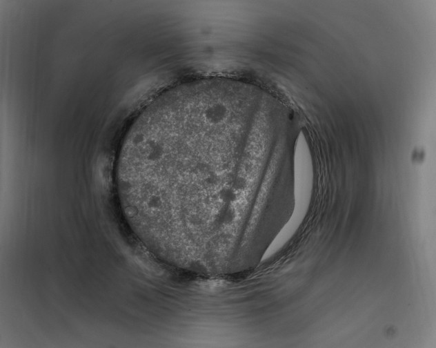 X0000101440695200808041215