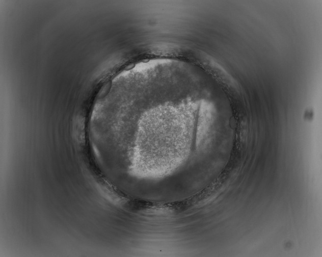 X0000101440696200808041215