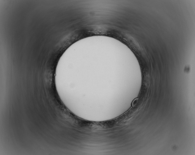 X0000101440697200808041215