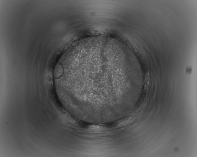 X0000101440699200808041215