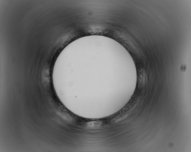 X0000101440700200808041215