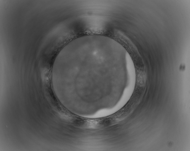 X0000101440701200808041215