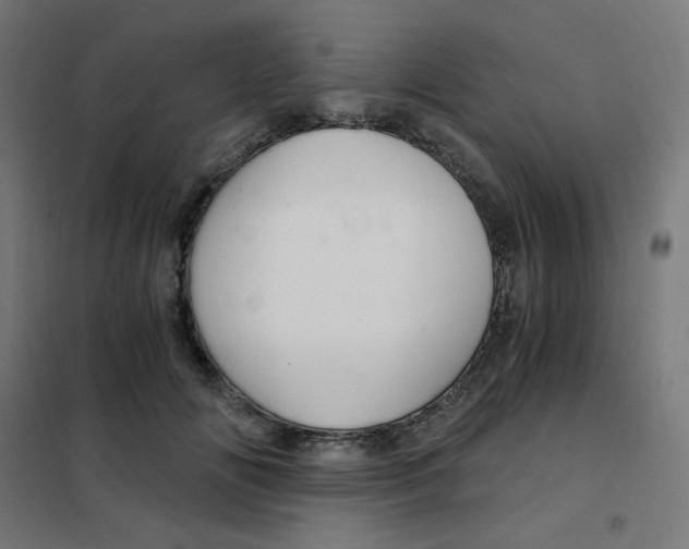 X0000101440702200808041215