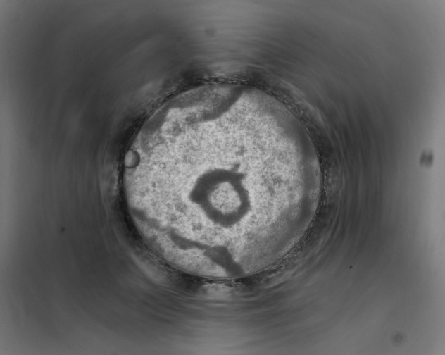 X0000101440703200808041215