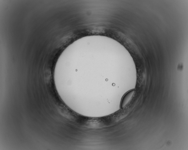 X0000101440704200808041215