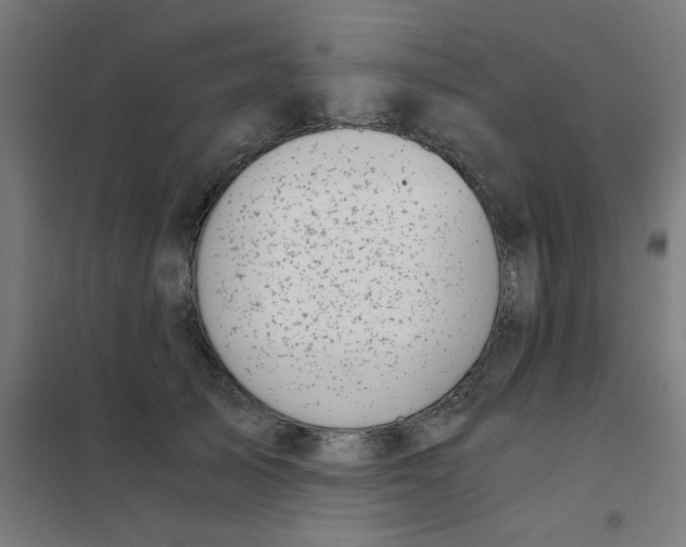 X0000101440705200808041215