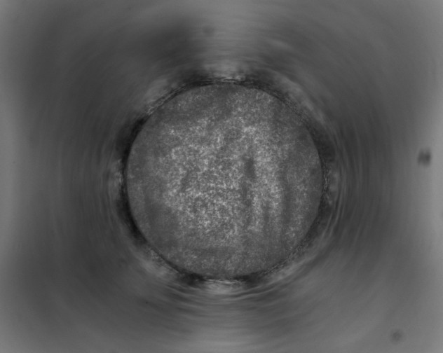 X0000101440707200808041215
