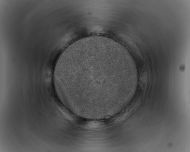 X0000101440708200808041215