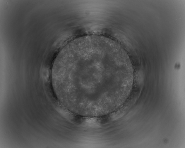 X0000101440709200808041215