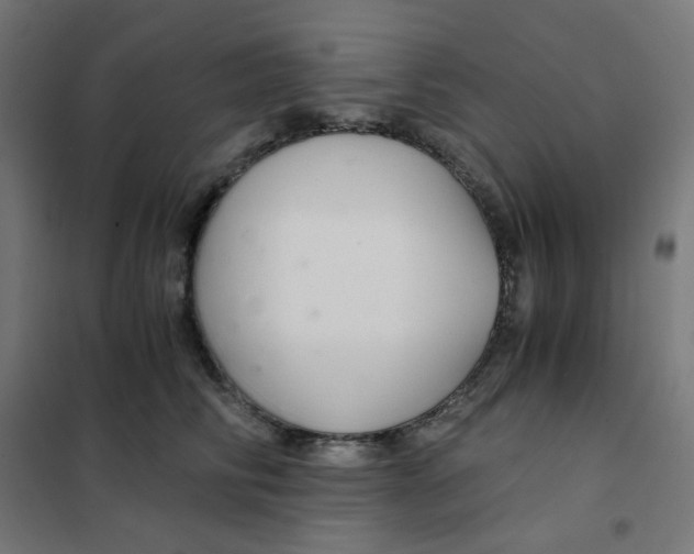 X0000101440710200808041215