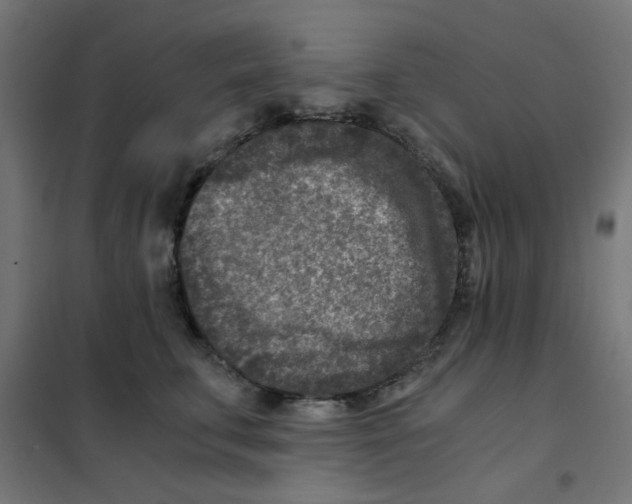 X0000101440711200808041215