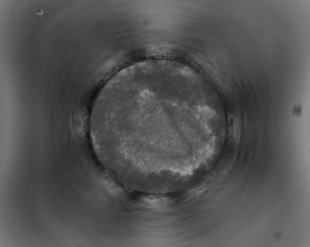 X0000101440712200808041215