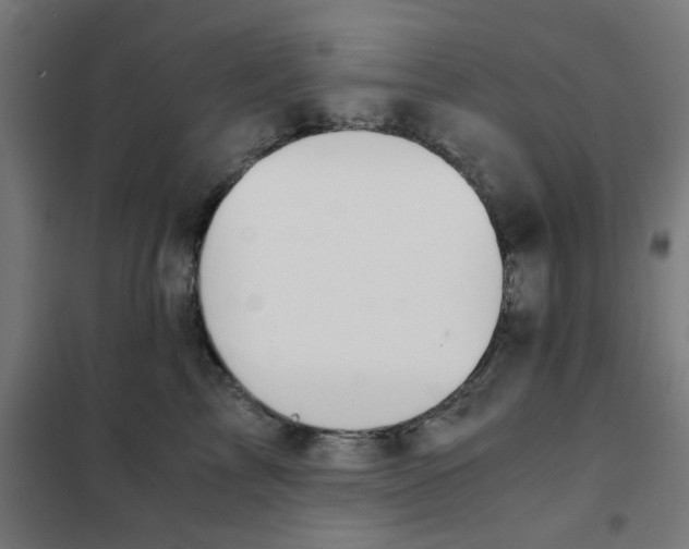 X0000101440713200808041215