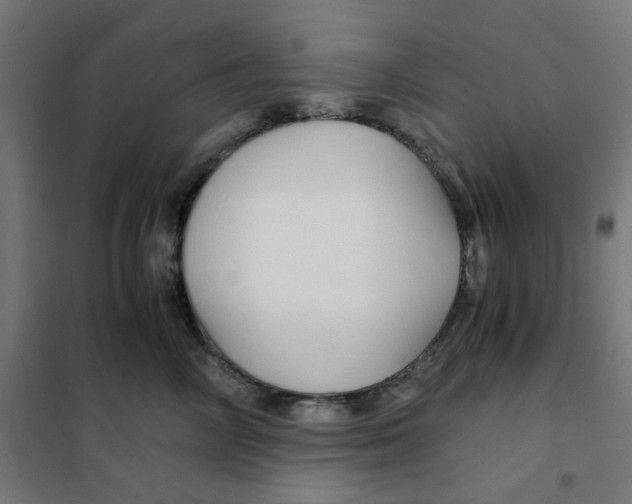X0000101440714200808041215