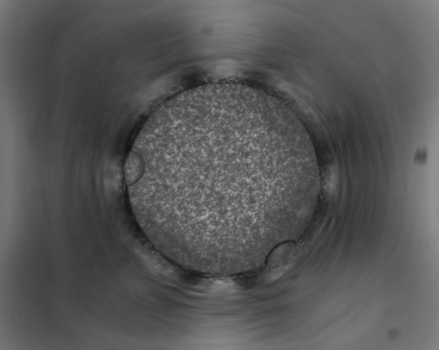X0000101440715200808041215