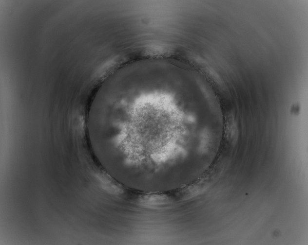 X0000101440716200808041215