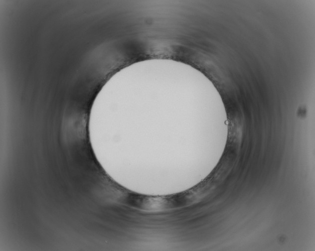 X0000101440717200808041215