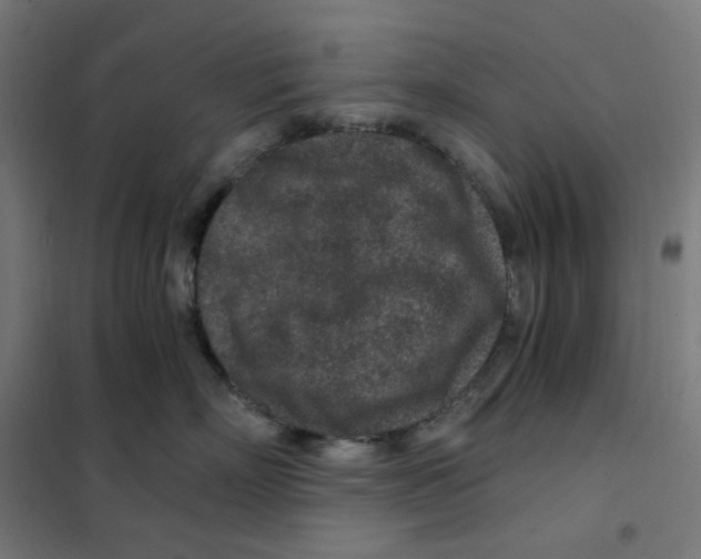 X0000101440718200808041215