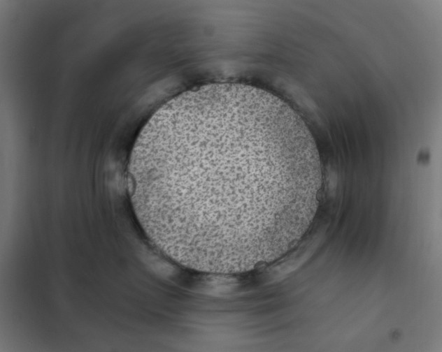 X0000101440719200808041215