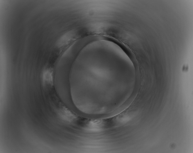 X0000101440720200808041215