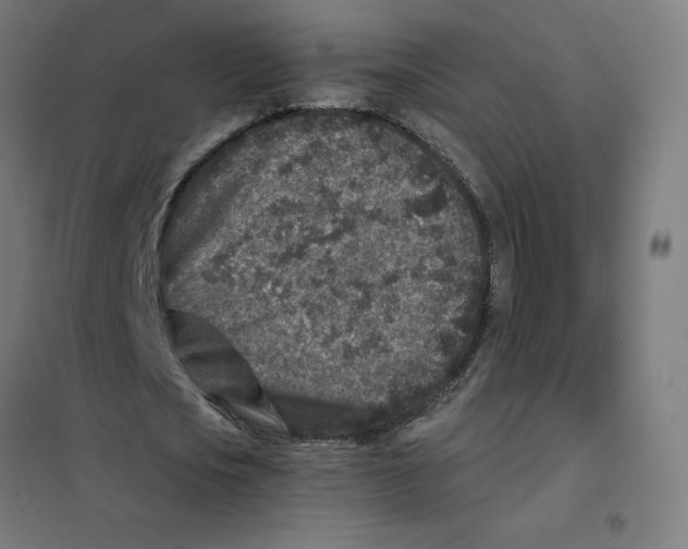 X0000101440721200808041214