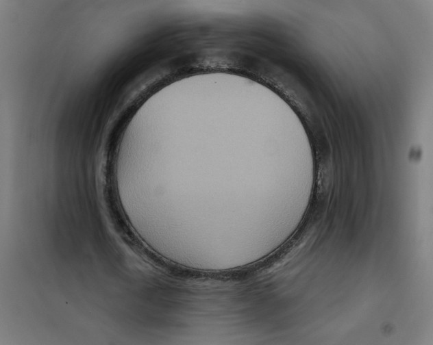 X0000101440722200808041214