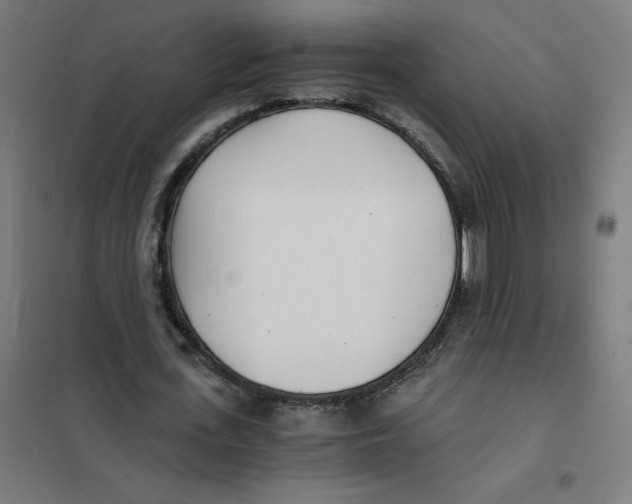 X0000101440723200808041214