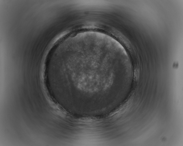 X0000101440724200808041214