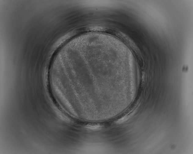 X0000101440725200808041214