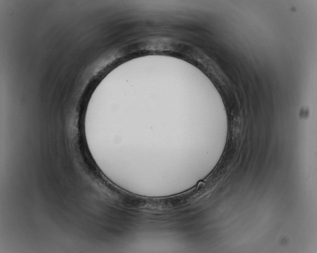 X0000101440727200808041214