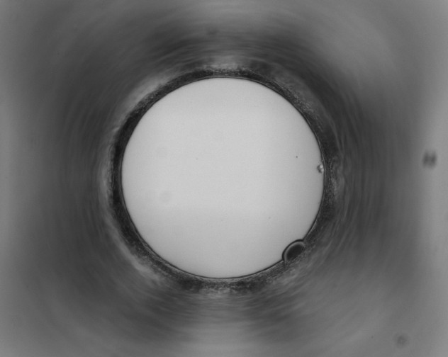 X0000101440728200808041214